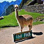 l3.png