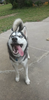 C7270948-0BC5-417F-837D-8A1DE1D5D008.png