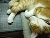 IMG_20171116_065954.jpg
