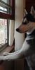 0D341071-5727-48E2-BA83-D8D3AEF8057D.png
