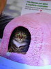 BEARNIE 026.jpg