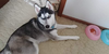 378F09C5-86F2-4F2A-890E-BDD850BEE561.png