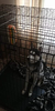 72A874C7-D740-4F7A-A782-9ACE5A44A38E.png