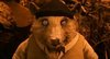 upload_2017-12-2_18-51-41.jpeg