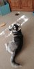 received_10160006822320657.jpeg