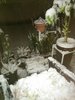 snow1.jpg