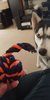 received_10160039992820657.jpeg