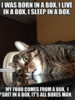 catboxes.png