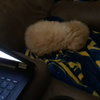 20171220_024256.jpg