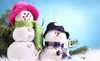 snow couple.jpg