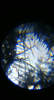 EC7D64AD-DD17-41F3-955B-1754F87FA117.png