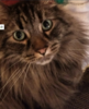 Screen Shot 2018-01-02 at 6.22.22 PM.png