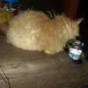 20180106_193249.jpg
