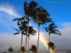 Hawaiian Rainbow.jpg