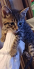 AF01A035-3F84-4146-B799-2497C5650521.png