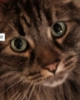 Screen Shot 2018-01-19 at 1.12.10 AM.png