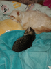 52803AFF-7098-4262-A576-E8F3367B5D64.png