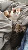 B3638757-8C31-4855-A838-930EFCA223C8.png
