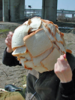 upload_2018-3-6_14-44-37.png