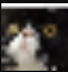 upload_2018-3-6_19-36-56.png