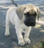 upload_2018-3-6_19-46-43.png