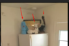 upload_2018-4-11_13-12-18.png