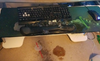 RIP2.png