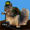 tnt_squirrel.gif