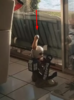 upload_2018-5-9_8-11-6.png