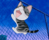 happy fence.gif