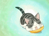 food.gif
