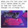 upload_2018-6-19_16-21-58.png