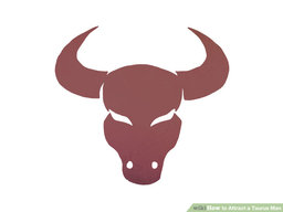 toro106