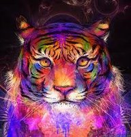 electrix