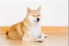 Iesudesu