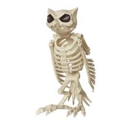 SkeletonFrogCat