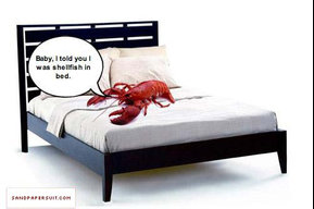 BedLobster22