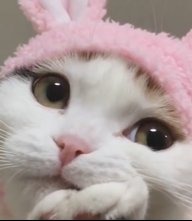 It Me