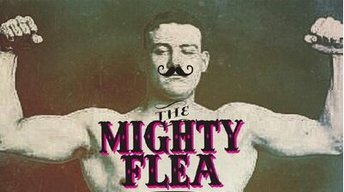 TheMightyFlea