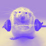 gym_rat