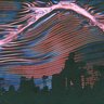 Salvo1993