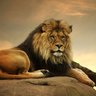 Riseofthehumblecoin