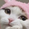 It Me