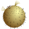 JoC