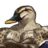 Ducky