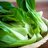DocLettuce