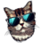 catnapped