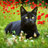 HughCat