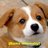 PuzzledCorgi