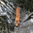 julesturk